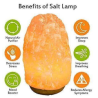 NATURAL HIMALAYAN ROCK SALT LAMP
