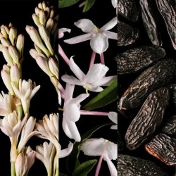 Carolina Herrera Good Girl EDP 80ml (Classic) HER