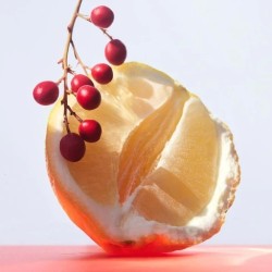 Bvlgari Omnia Coral EDT 65ml HER