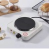 RAF Portable Electric Stove
