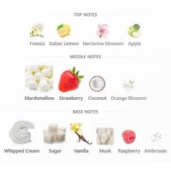 Kayali Yum Bougee Marshmallow I 81 EDP 100ml HER