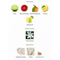 Louis Vuitton City of Stars EDP 100ml Unisex