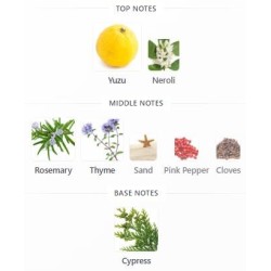 Louis Vuitton on The Beach EDP 100ml Unisex