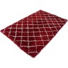 Fluffy Rugs