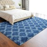 Fluffy Rugs