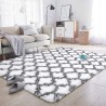Fluffy Rugs